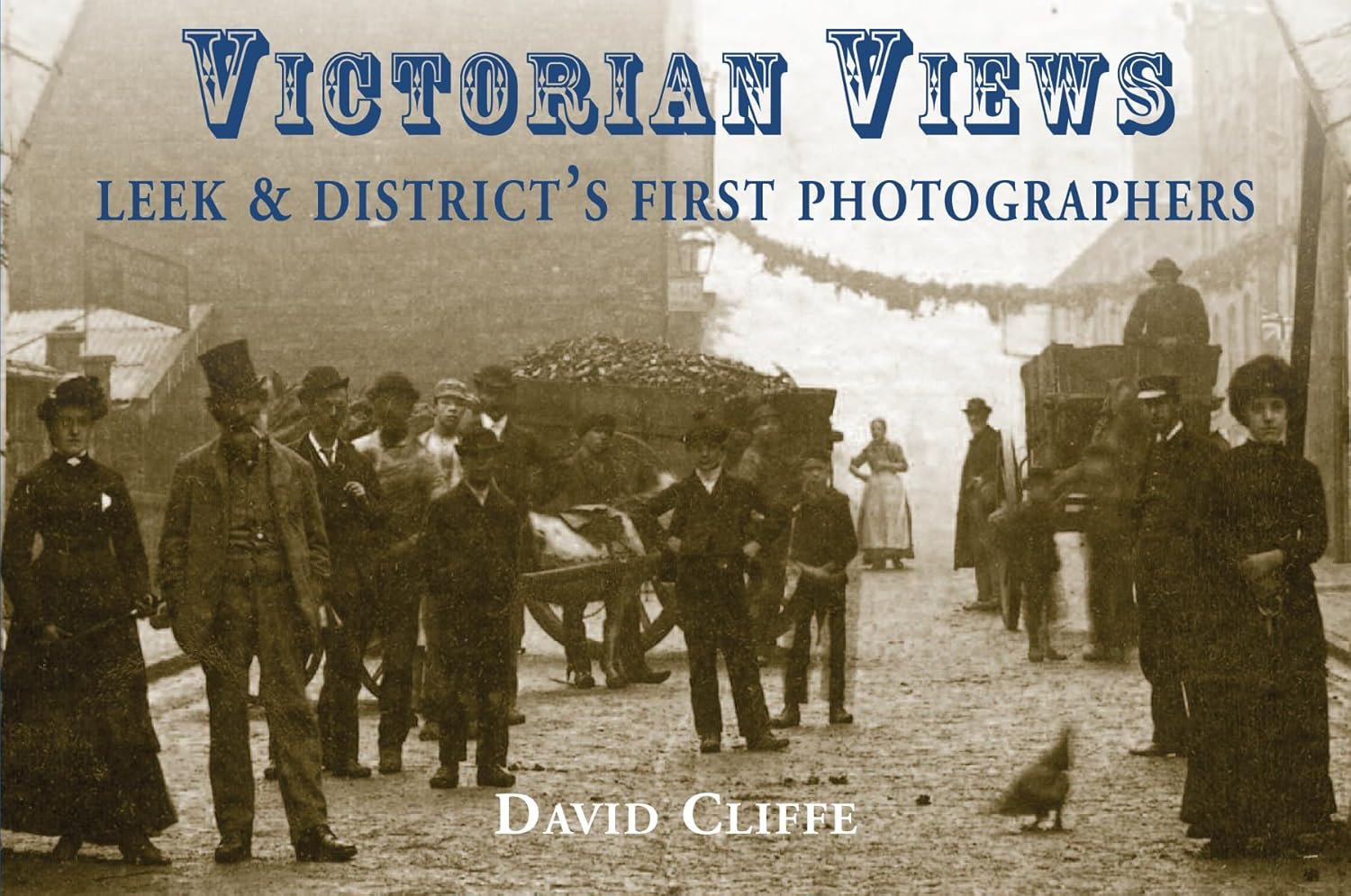 Victorian Views book cover